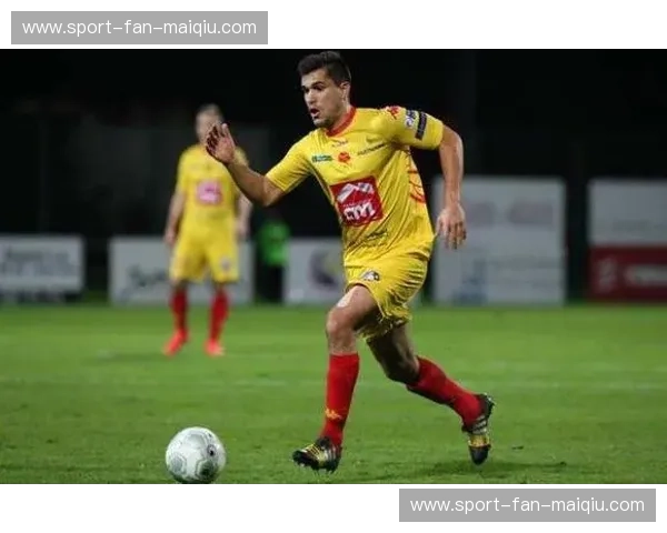 尼奥尔vs阿弗尔：一场穿越时空的浪漫对决，哪座城市更能触动你的心弦？